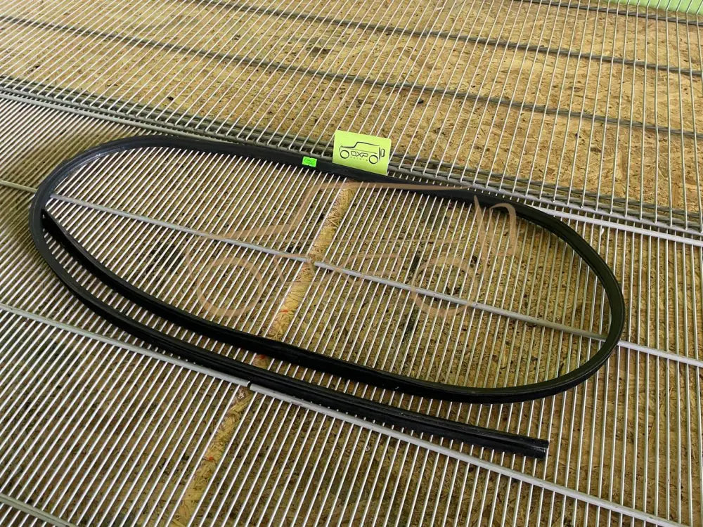 Mercedes-Benz G-Class W463 Front Door Glass Frame Seal