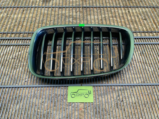 BMW F07 GT5 Front grille - front grille