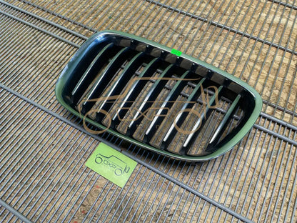 BMW F07 GT5 Front grille - front grille