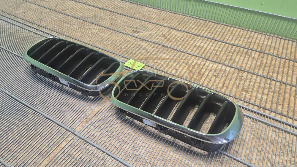 BMW X5 Front radiator grille set - radiator grille