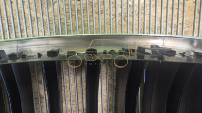 BMW X5 Front radiator grille set - radiator grille