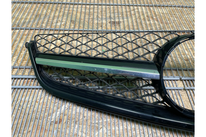 Mercedes-Benz C-Class W204 AMG Front grill - front grill