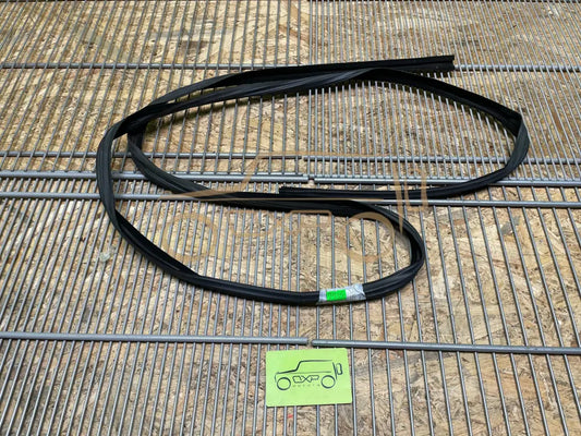 Mercedes-Benz G-Class W463 Front Door Glass Frame Seal