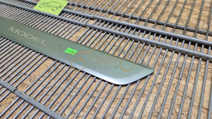 Tesla Model 3 Door sill trim - sill trim